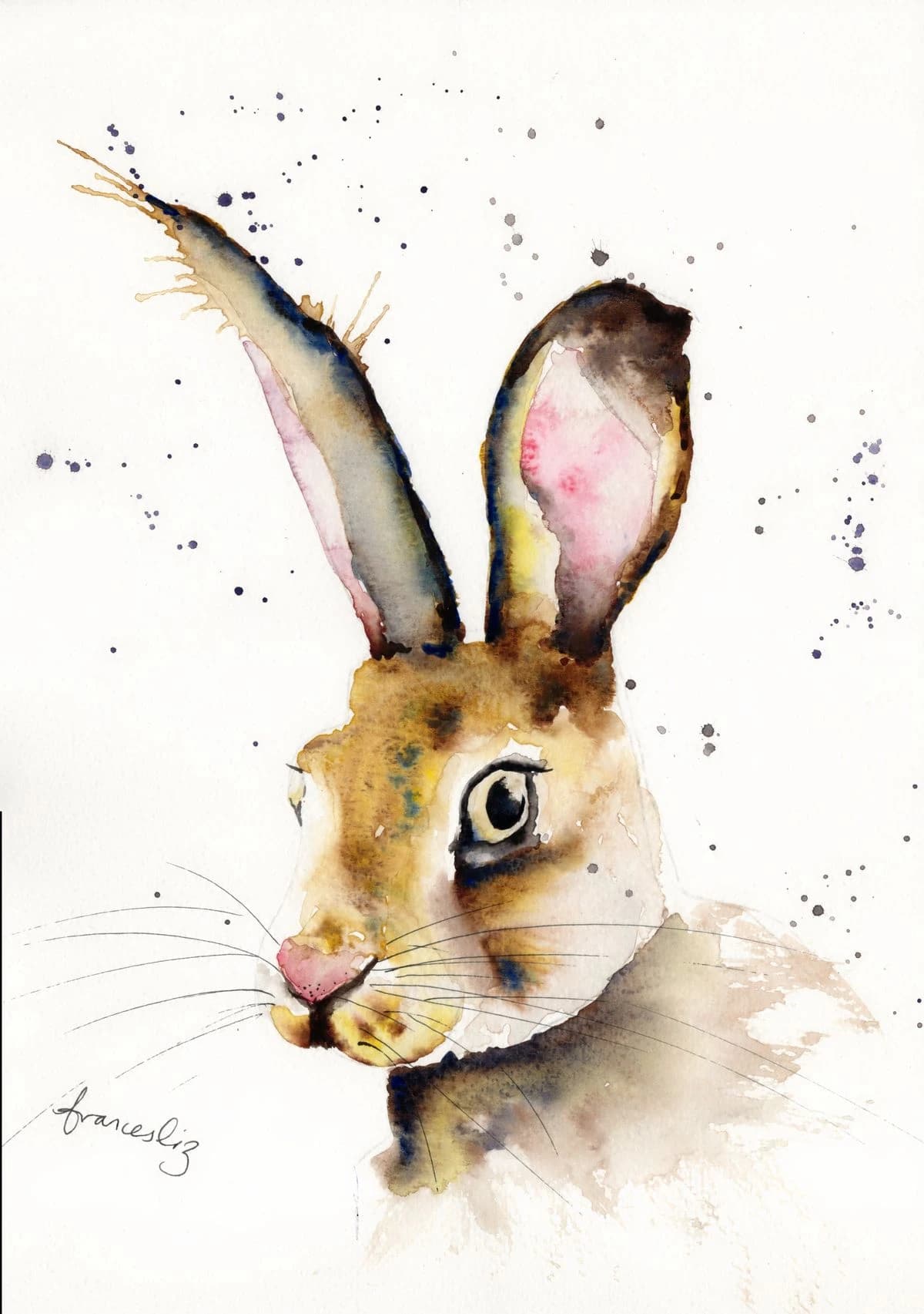 Hare — Watercolour