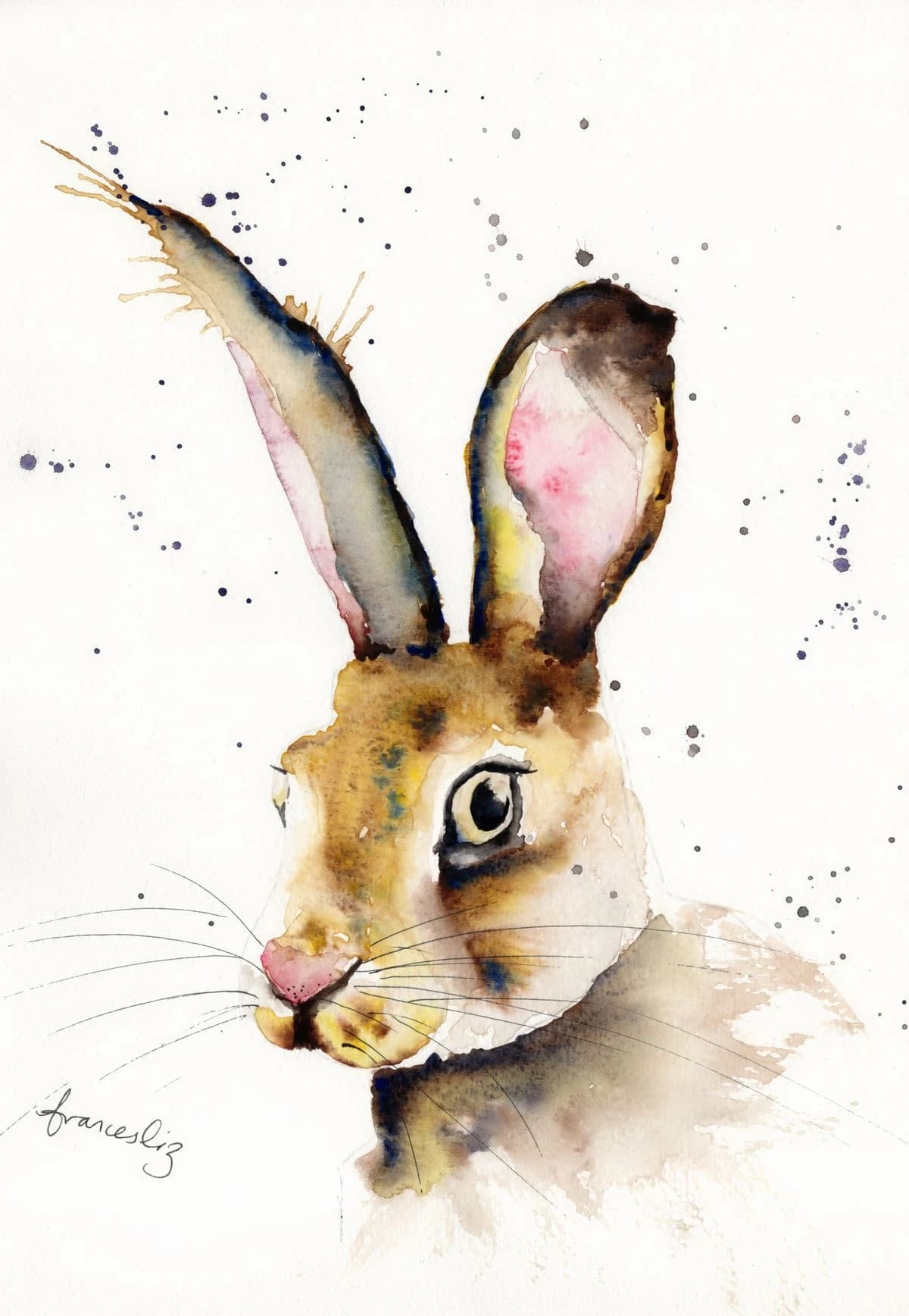 Hare
