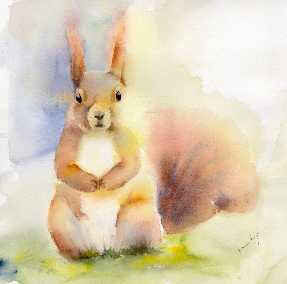 Squirrel Nutkin — Watercolour, 2026
