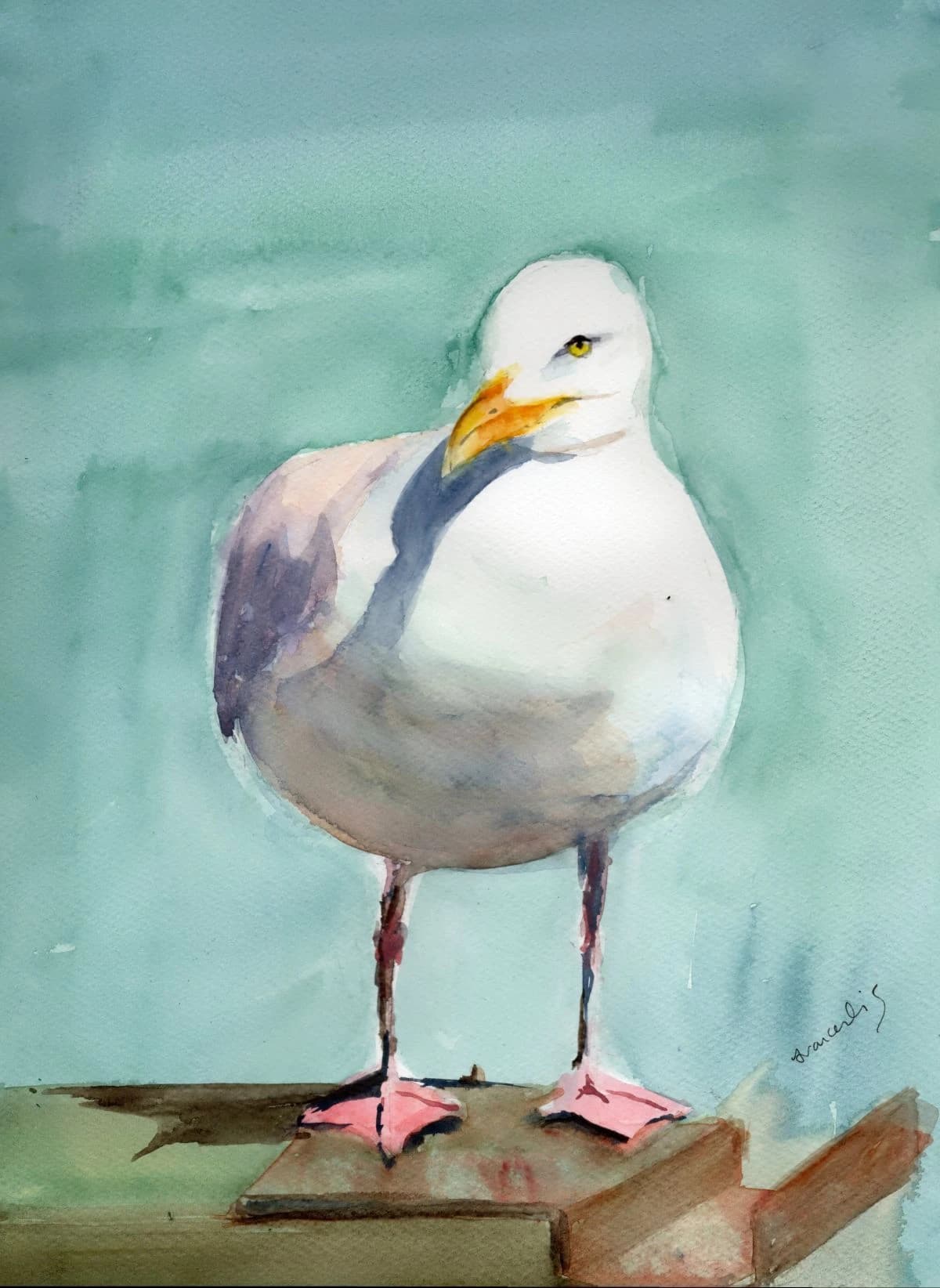Corrrr — Watercolour, 2026