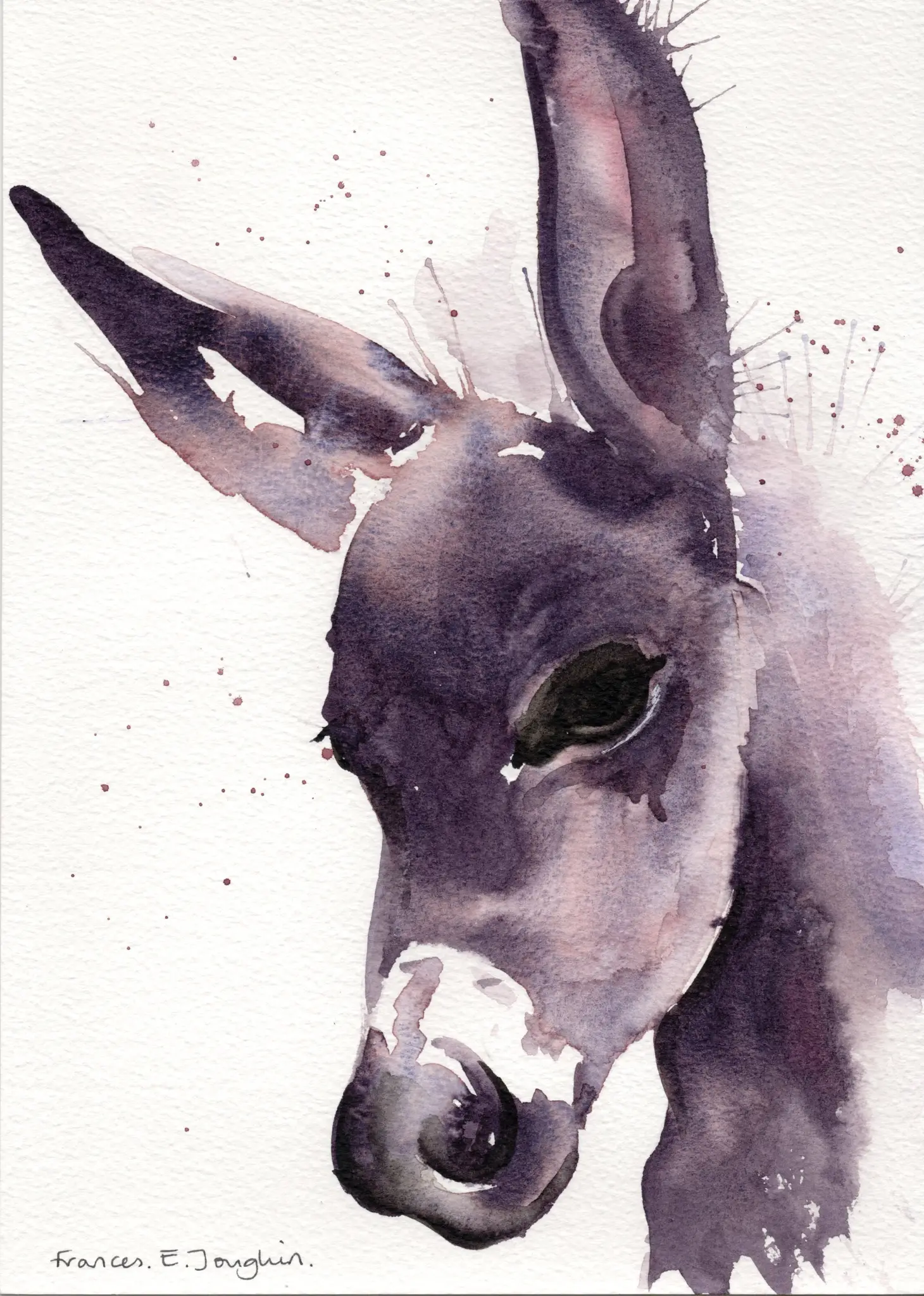Sad Donkey