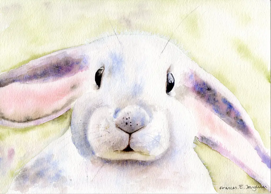 Bunny — Watercolour