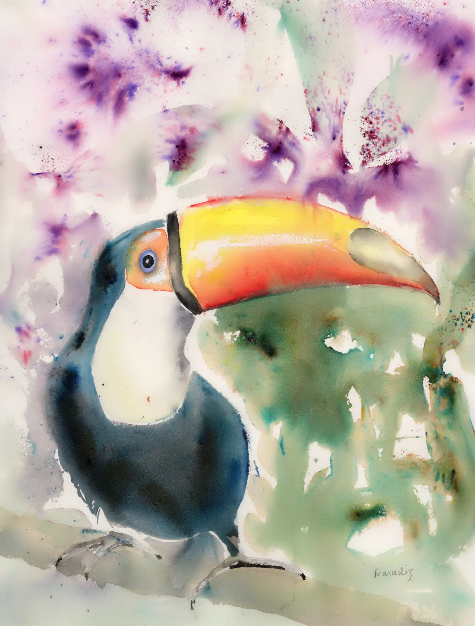 Toucan