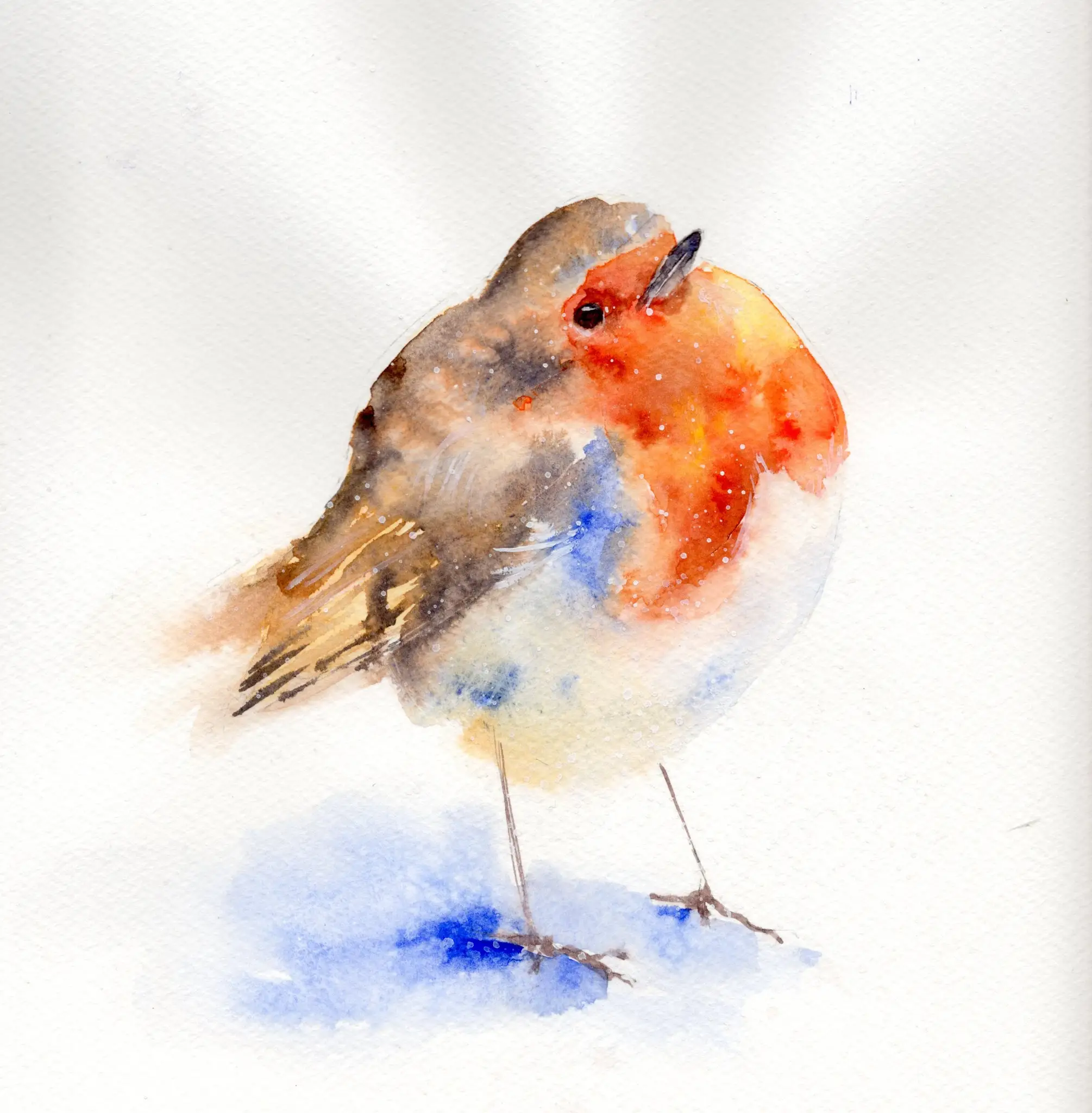 Little Fat Robin