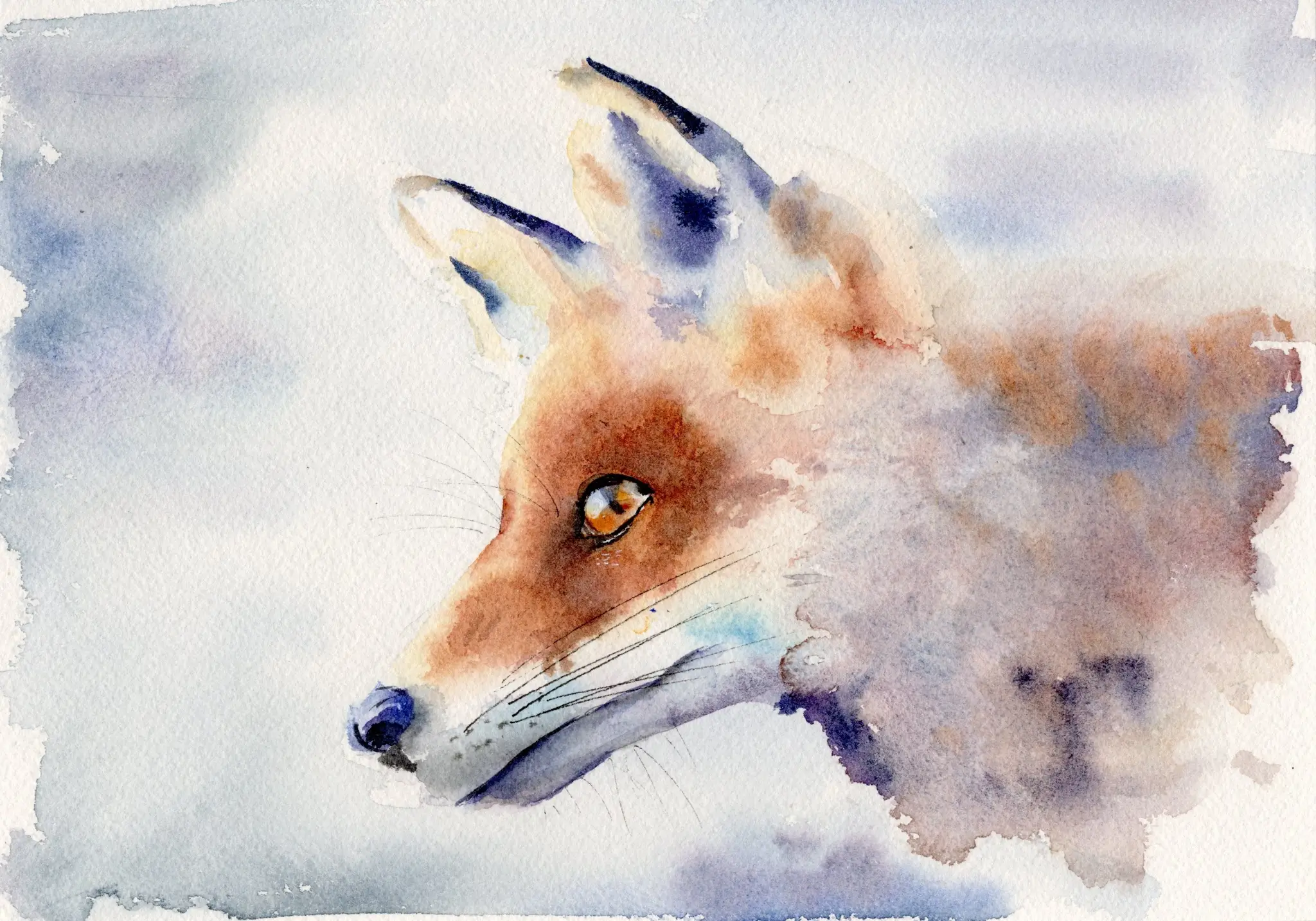 Mrs Fox