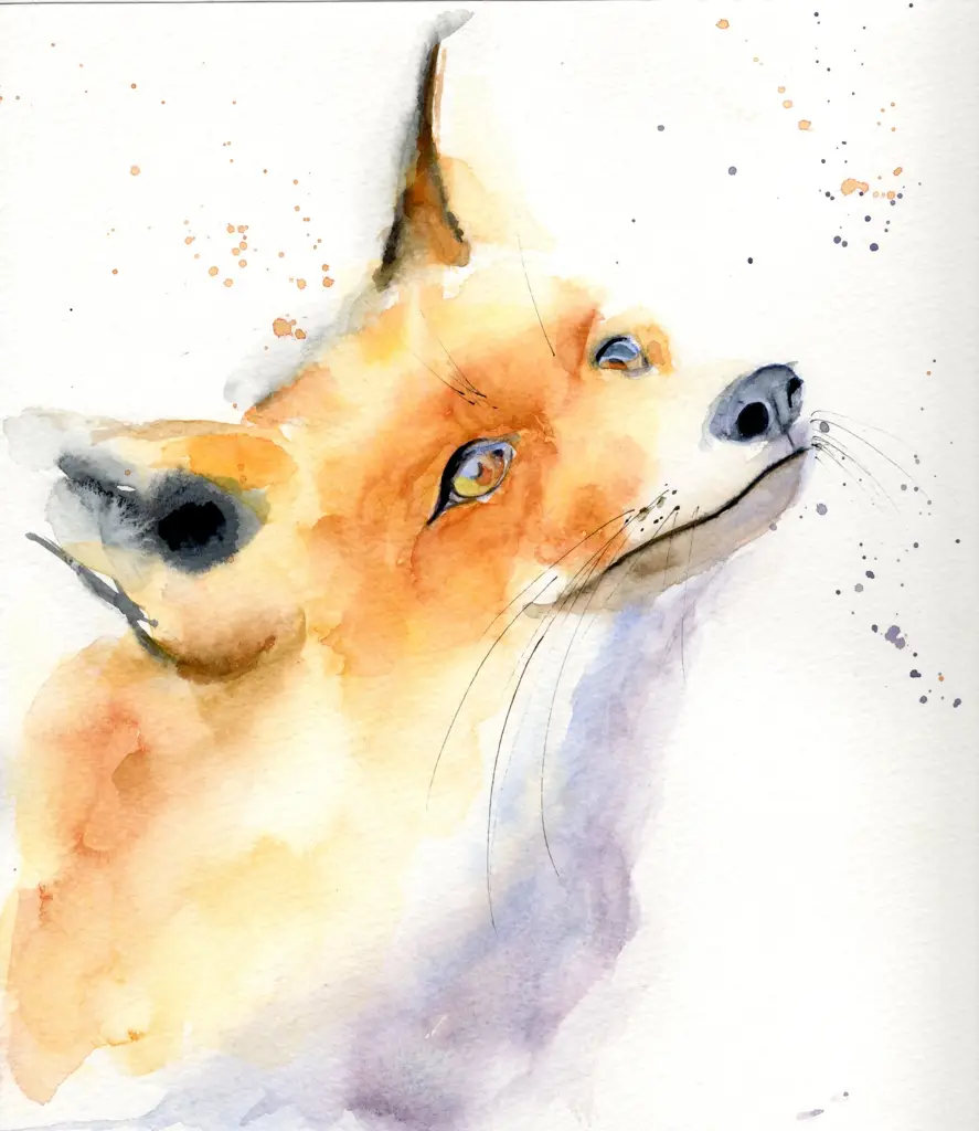 Mr Fox — Watercolour